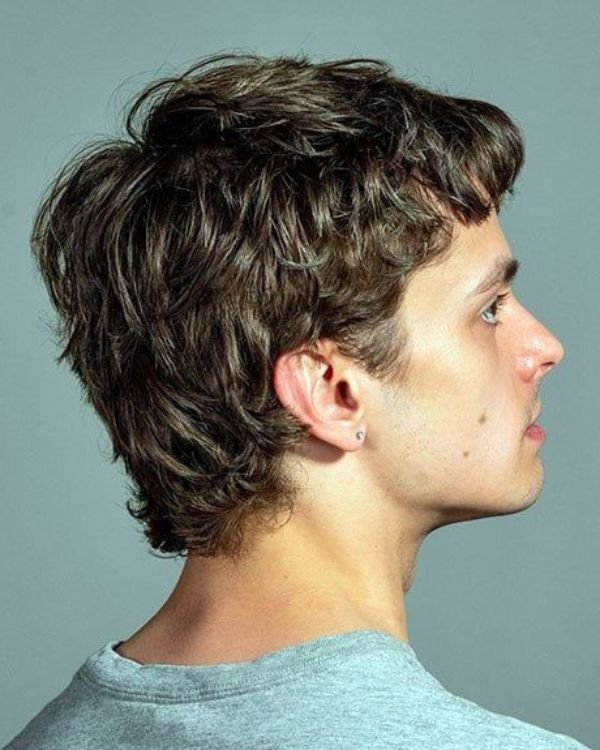 Shaggy, Modern Mod with Layers